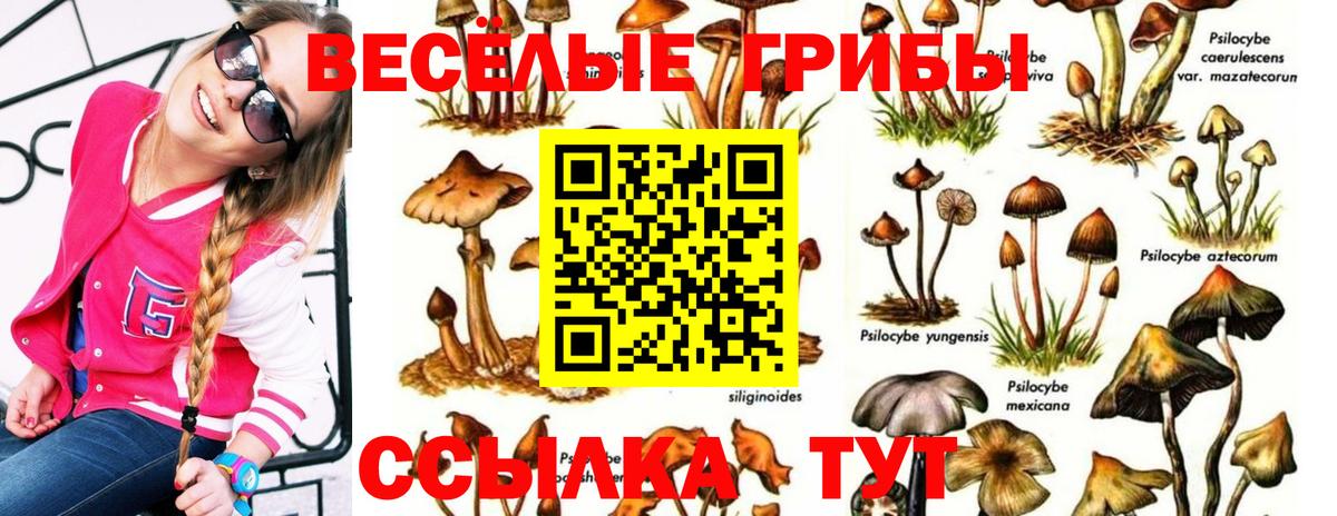 Галлюциногенные грибы Cubensis Туймазы